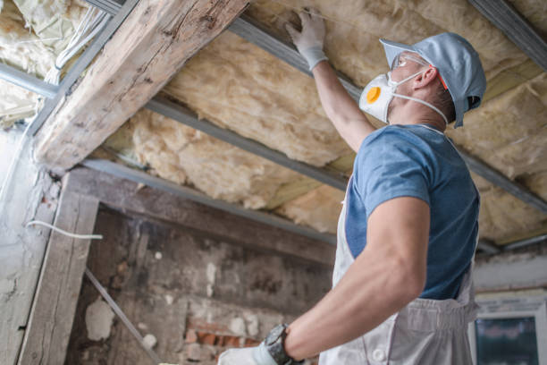 Best DIY Insulation Kits and Guidance in Wakeeney, KS