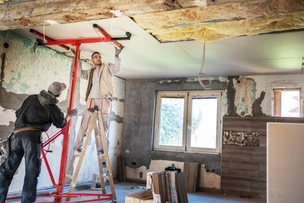 Best Geographic-Specific Insulation Services in Wakeeney, KS