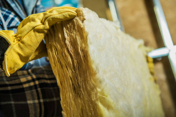 Best Insulation Maintenance and Repair in Wakeeney, KS