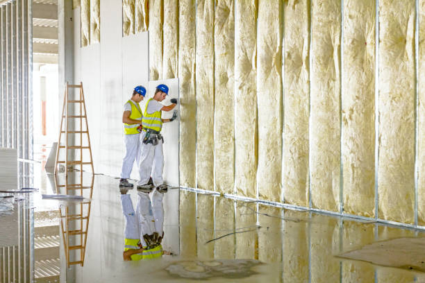 Best Spray Foam Insulation in Wakeeney, KS
